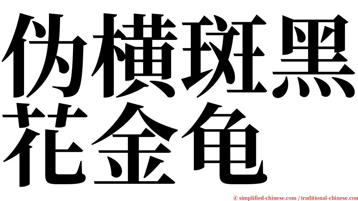 伪横斑黑花金龟 serif font