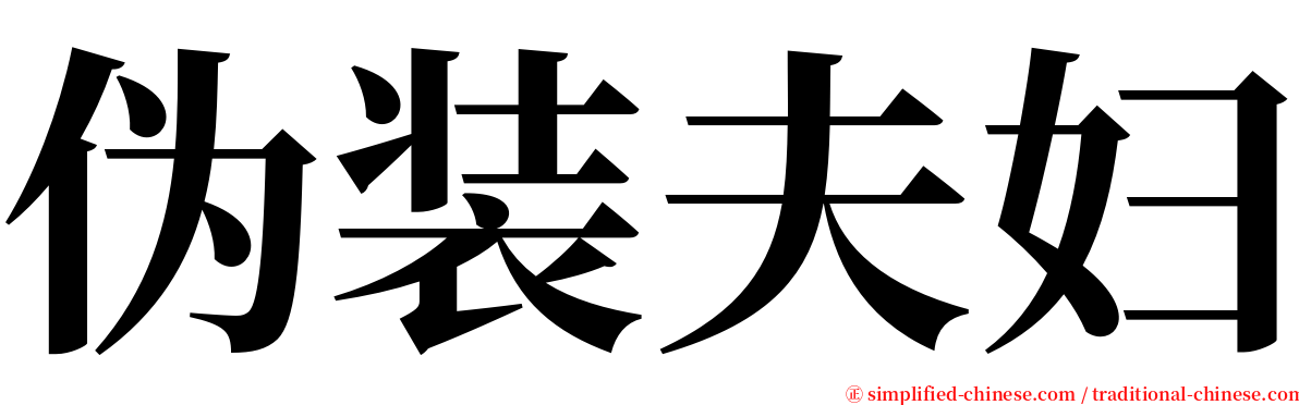 伪装夫妇 serif font