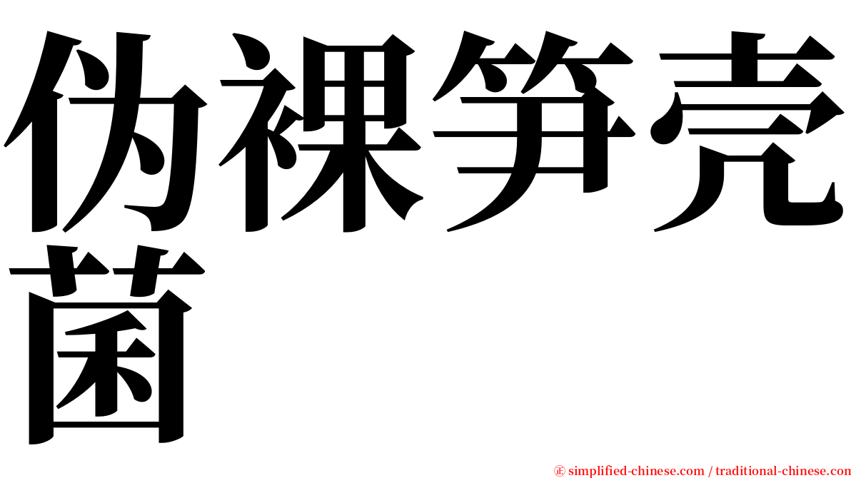 伪裸笋壳菌 serif font