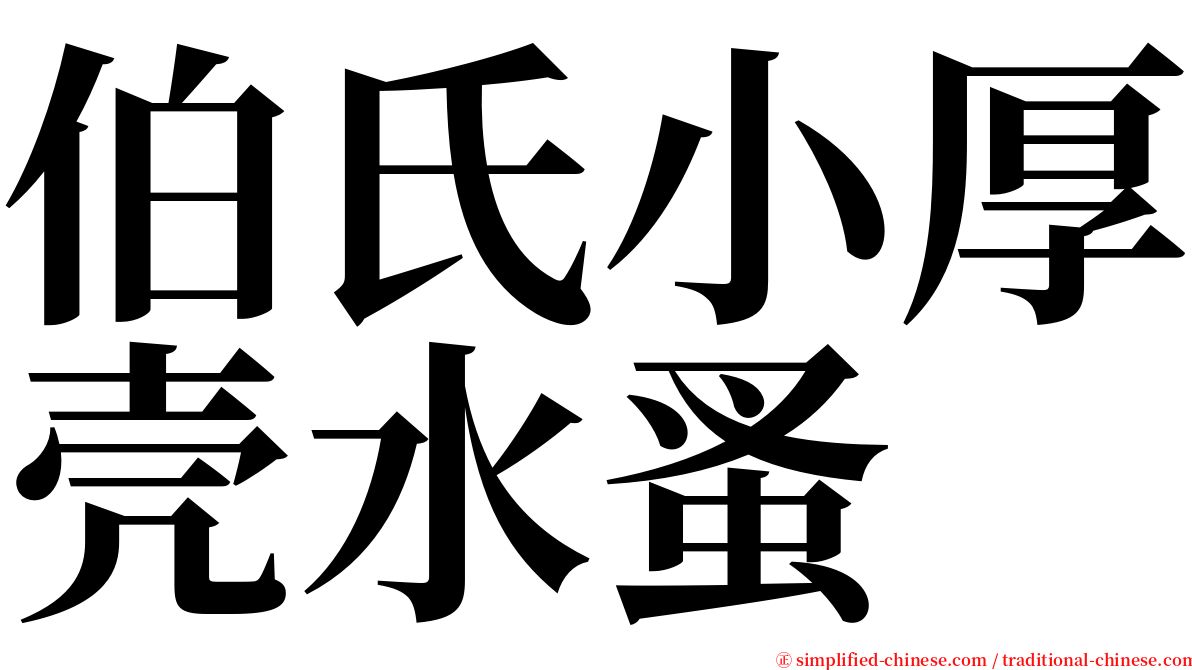 伯氏小厚壳水蚤 serif font