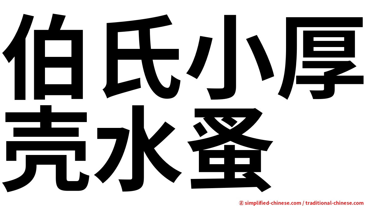 伯氏小厚壳水蚤