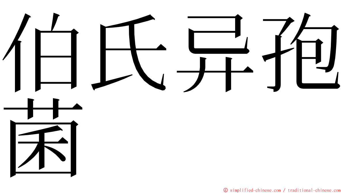 伯氏异孢菌 ming font