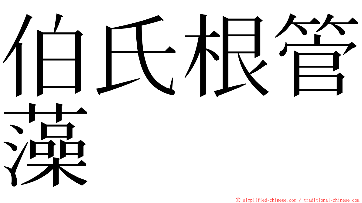 伯氏根管藻 ming font