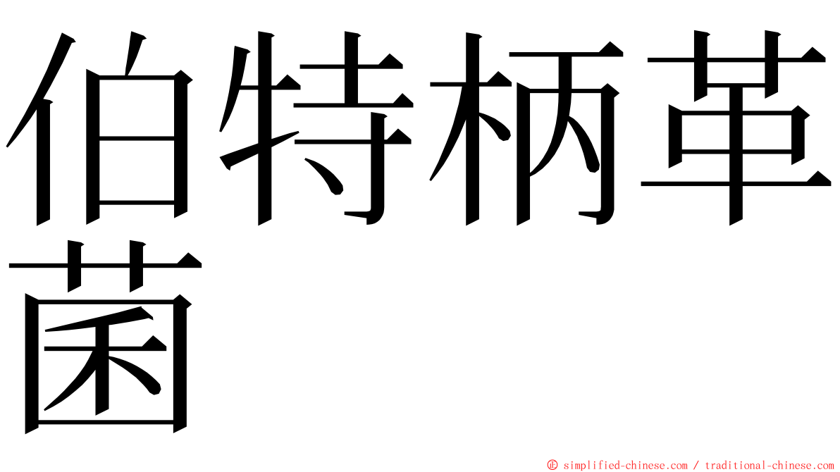 伯特柄革菌 ming font