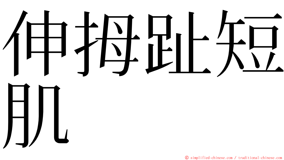 伸拇趾短肌 ming font