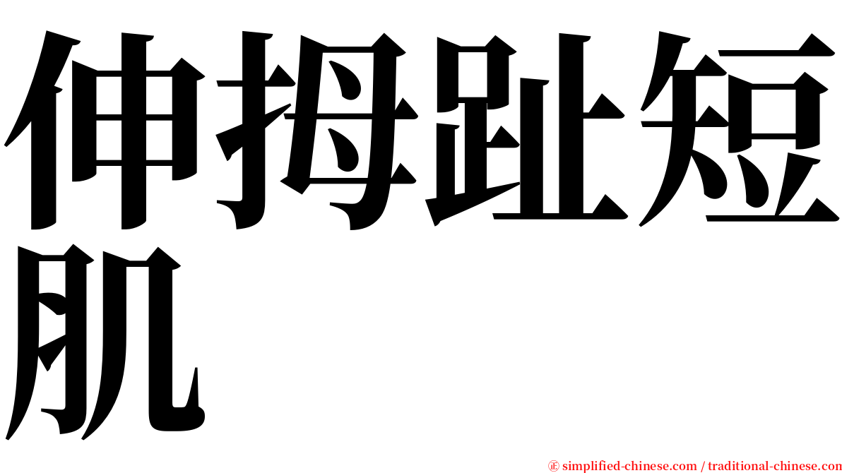 伸拇趾短肌 serif font