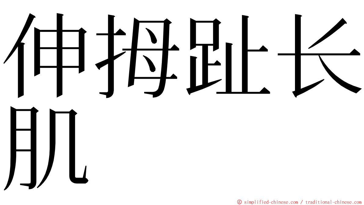 伸拇趾长肌 ming font