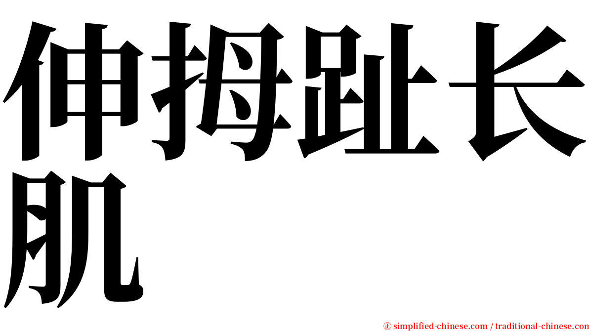 伸拇趾长肌 serif font