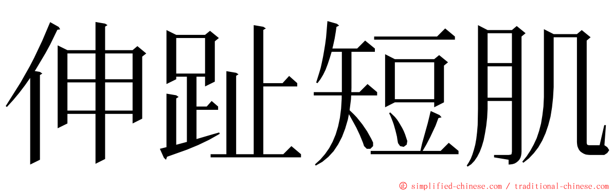 伸趾短肌 ming font