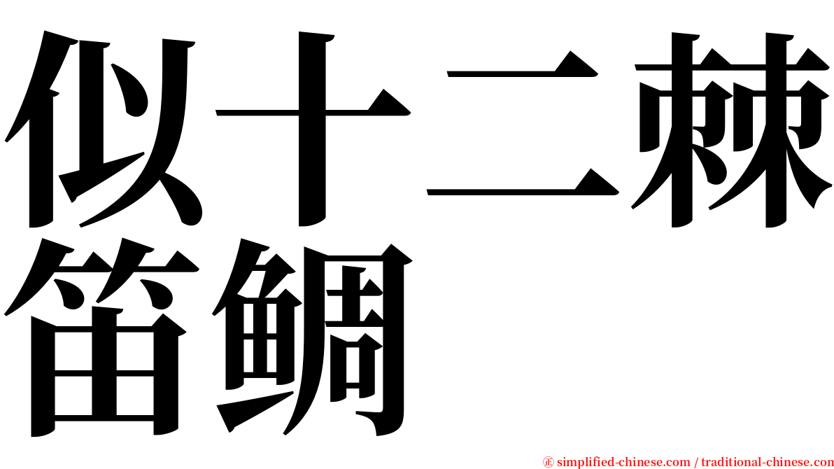 似十二棘笛鲷 serif font