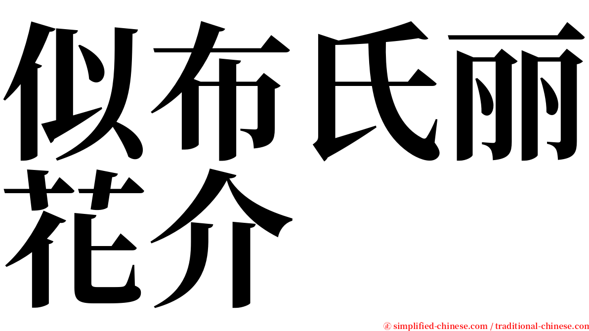 似布氏丽花介 serif font