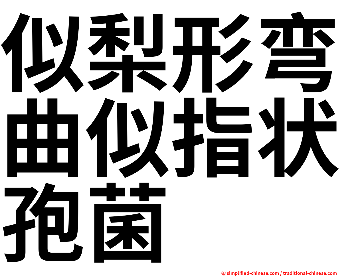 似梨形弯曲似指状孢菌
