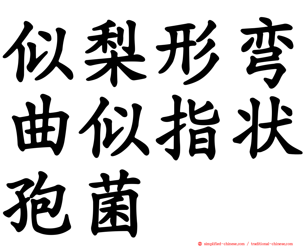 似梨形弯曲似指状孢菌