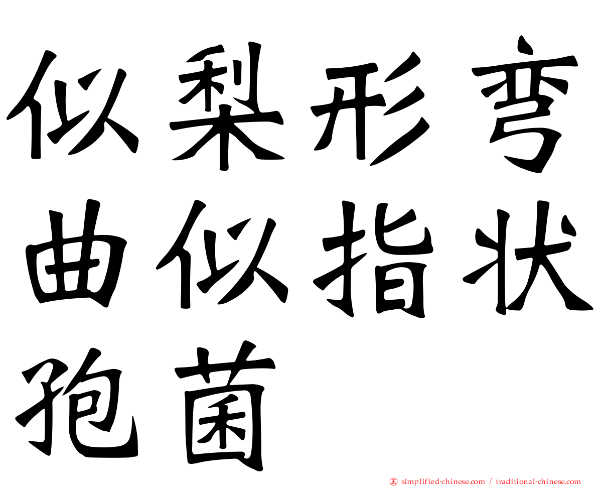 似梨形弯曲似指状孢菌