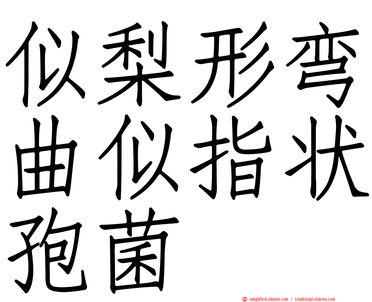 似梨形弯曲似指状孢菌