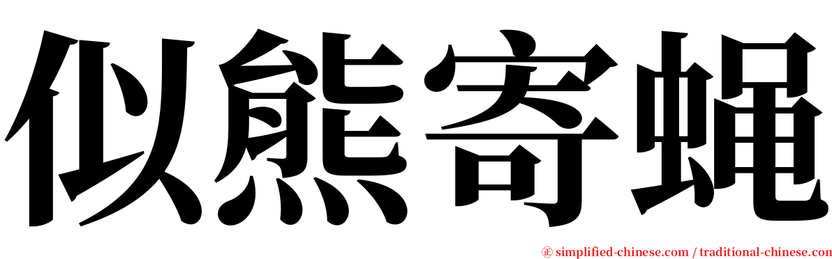 似熊寄蝇 serif font