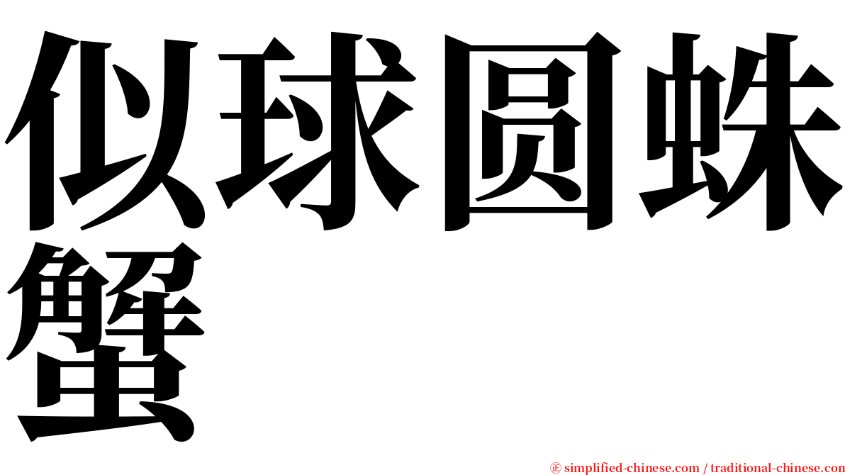 似球圆蛛蟹 serif font