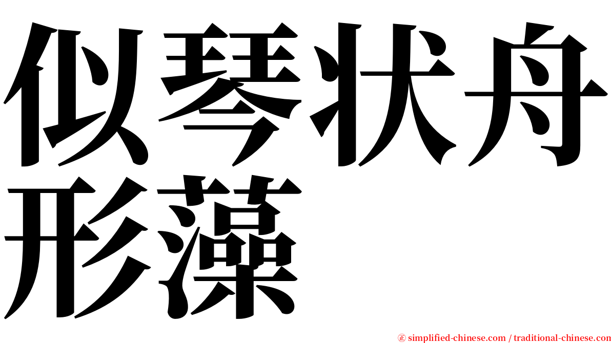 似琴状舟形藻 serif font