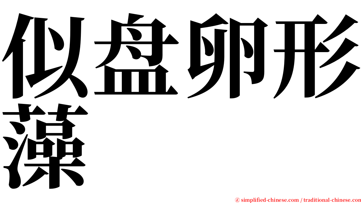 似盘卵形藻 serif font