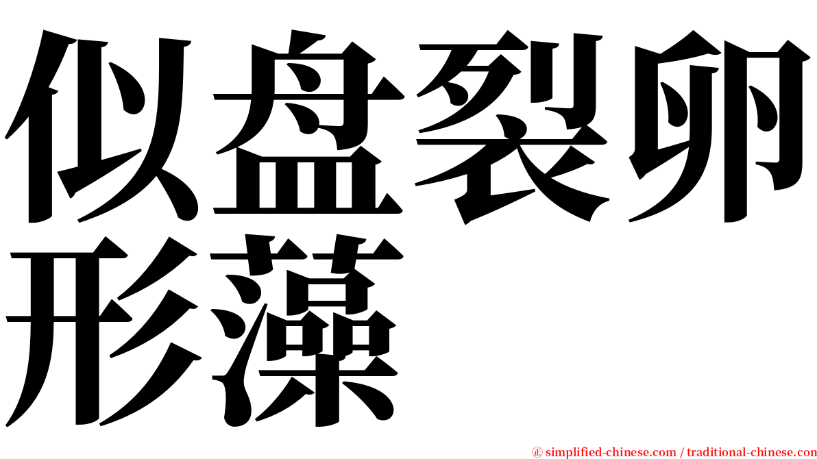 似盘裂卵形藻 serif font