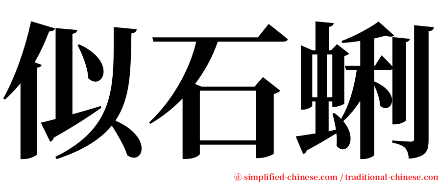 似石蜊 serif font