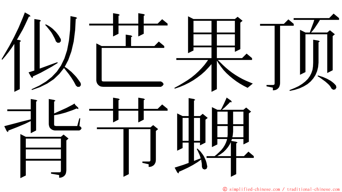 似芒果顶背节蜱 ming font