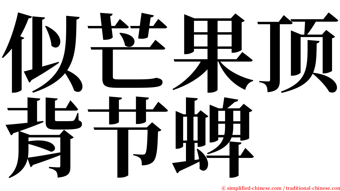 似芒果顶背节蜱 serif font