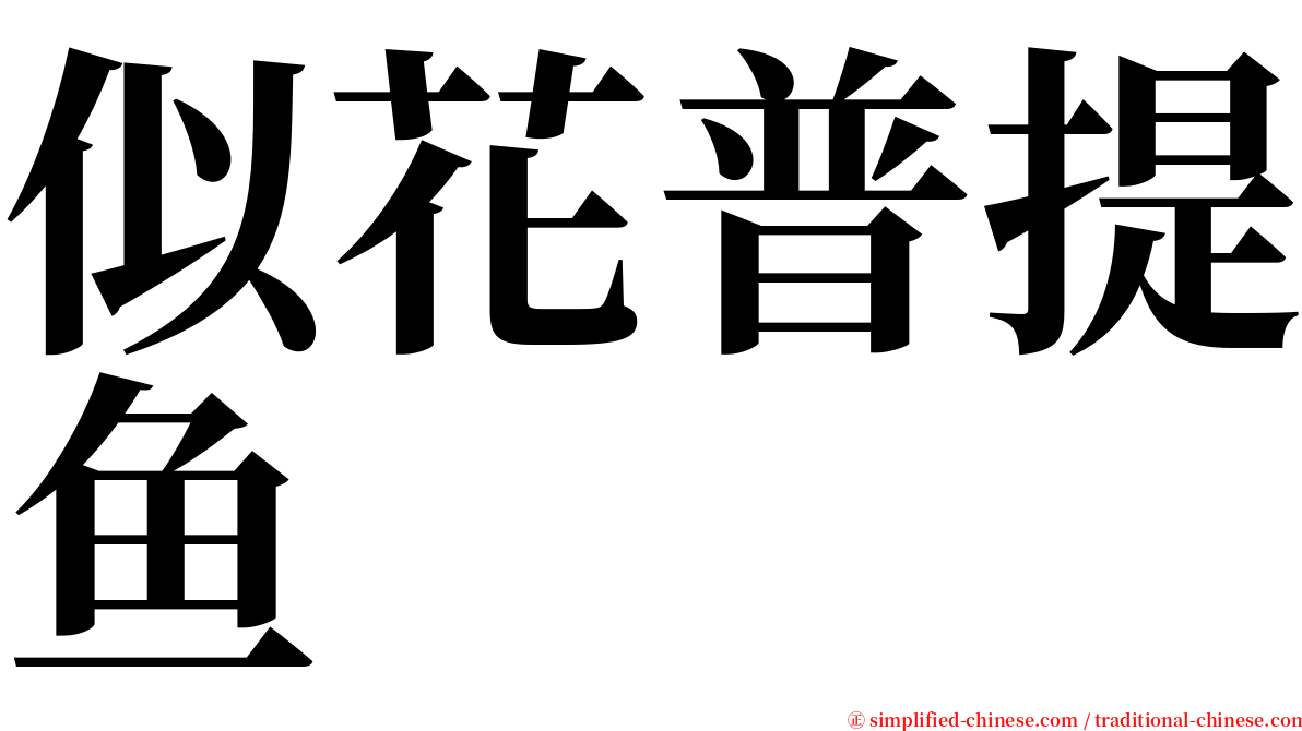 似花普提鱼 serif font