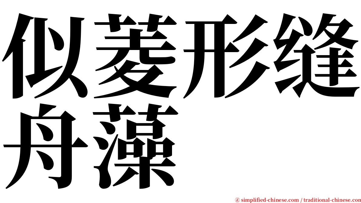 似菱形缝舟藻 serif font