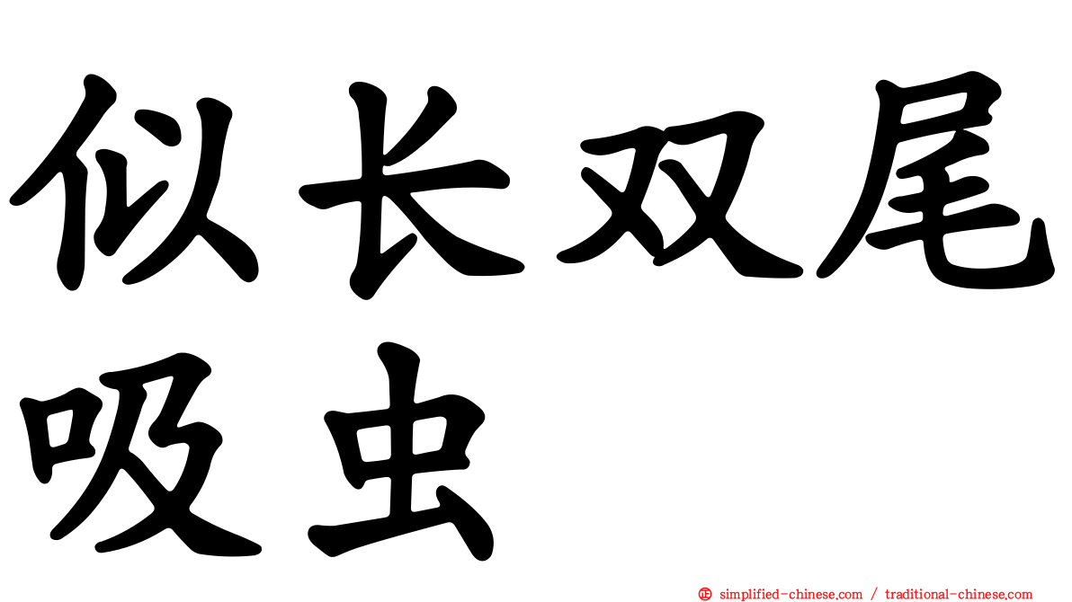 似长双尾吸虫