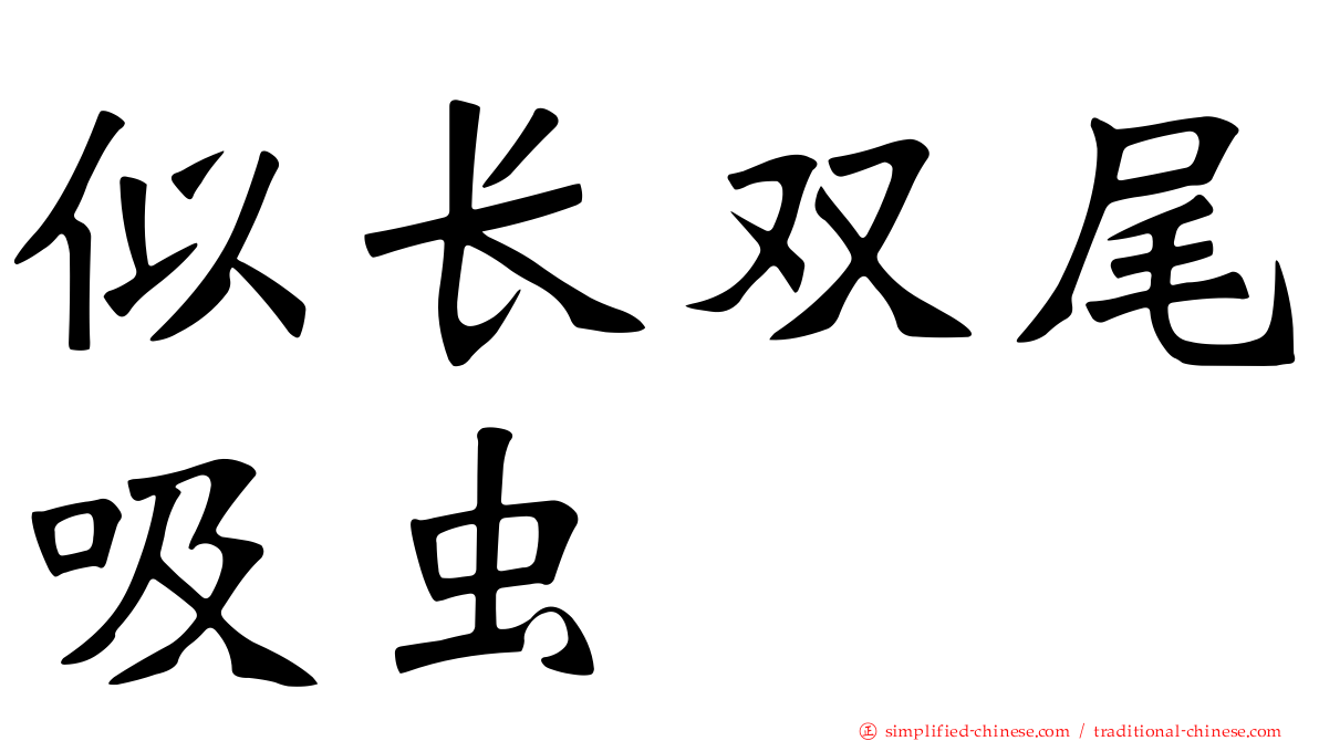 似长双尾吸虫