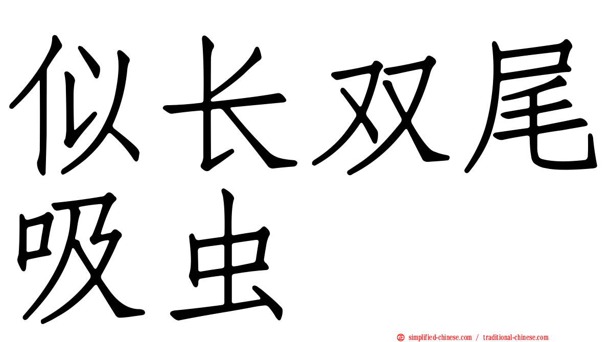 似长双尾吸虫