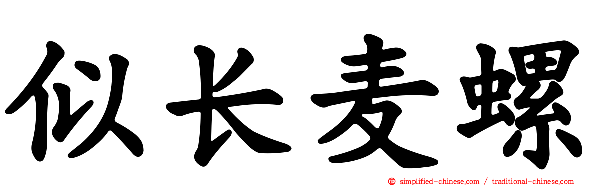 似长麦螺