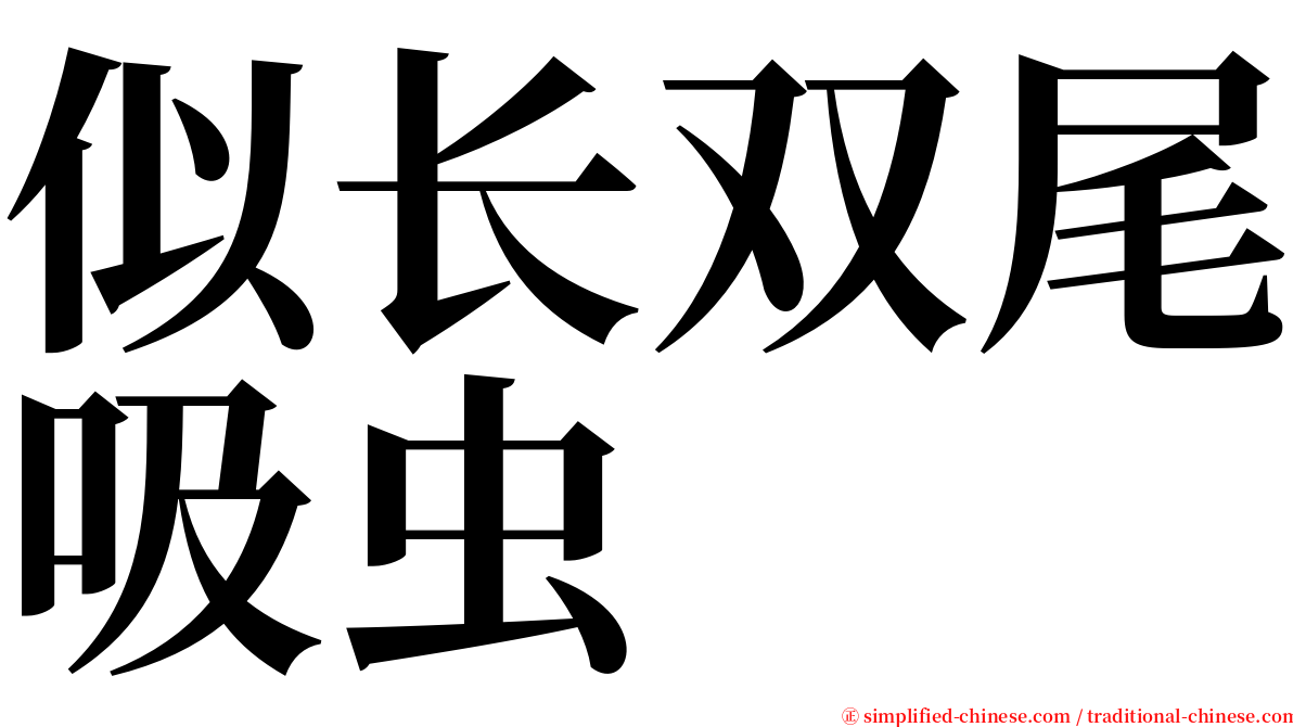 似长双尾吸虫 serif font