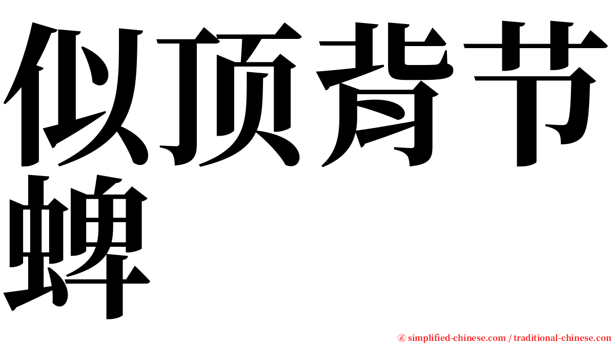 似顶背节蜱 serif font