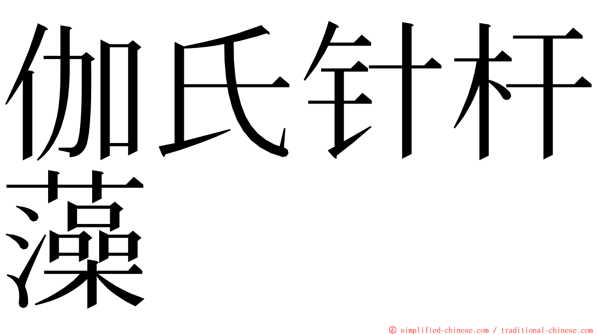 伽氏针杆藻 ming font