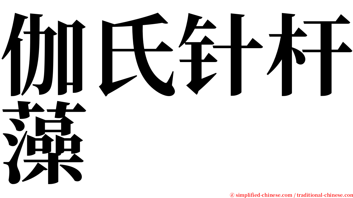 伽氏针杆藻 serif font