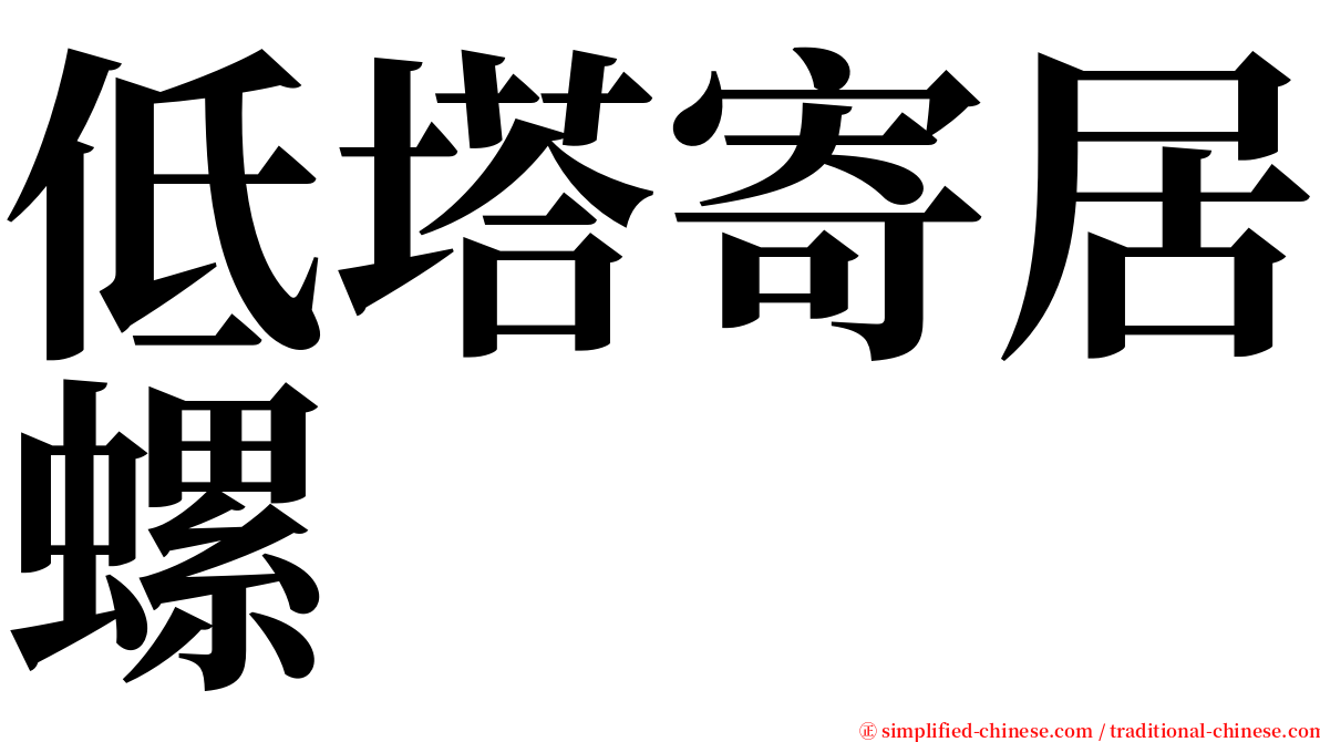 低塔寄居螺 serif font