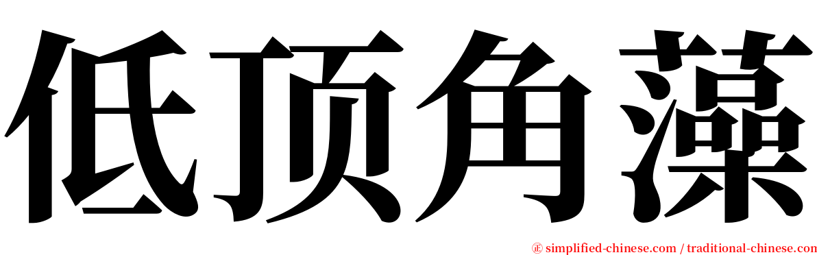 低顶角藻 serif font