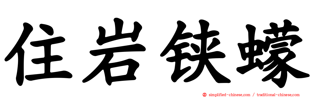 住岩铗蠓