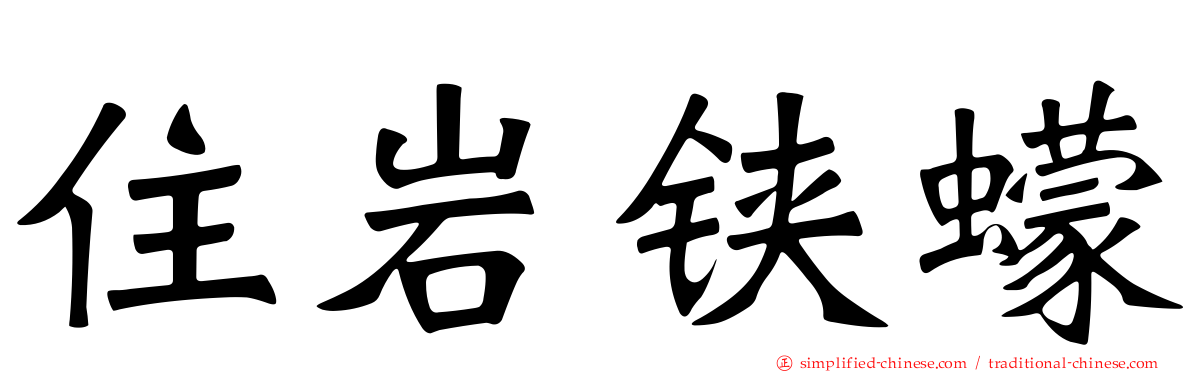 住岩铗蠓