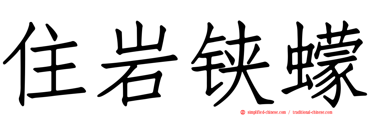 住岩铗蠓