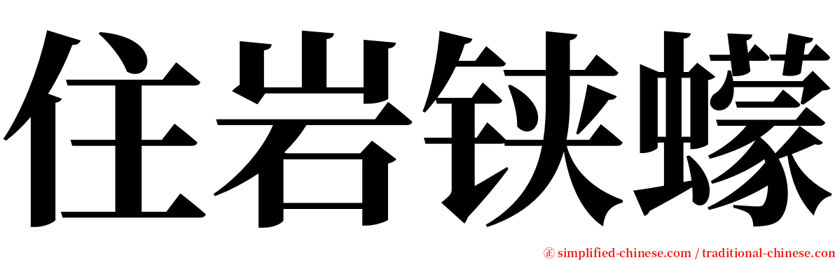 住岩铗蠓 serif font