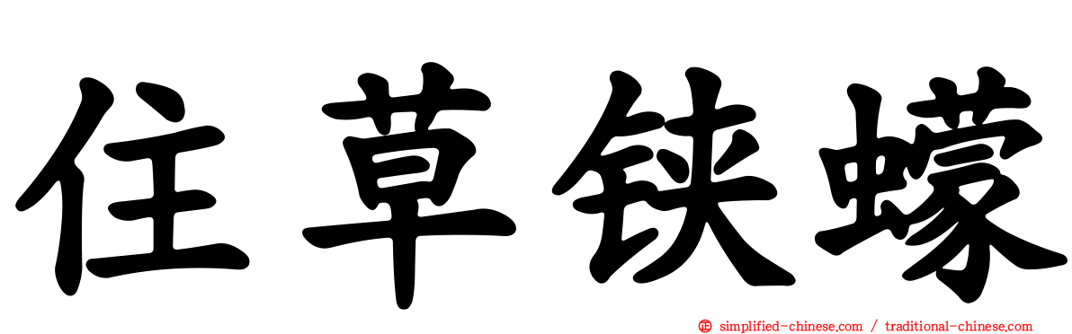 住草铗蠓