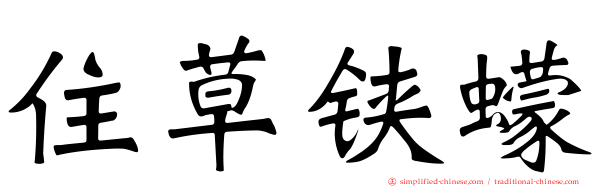 住草铗蠓