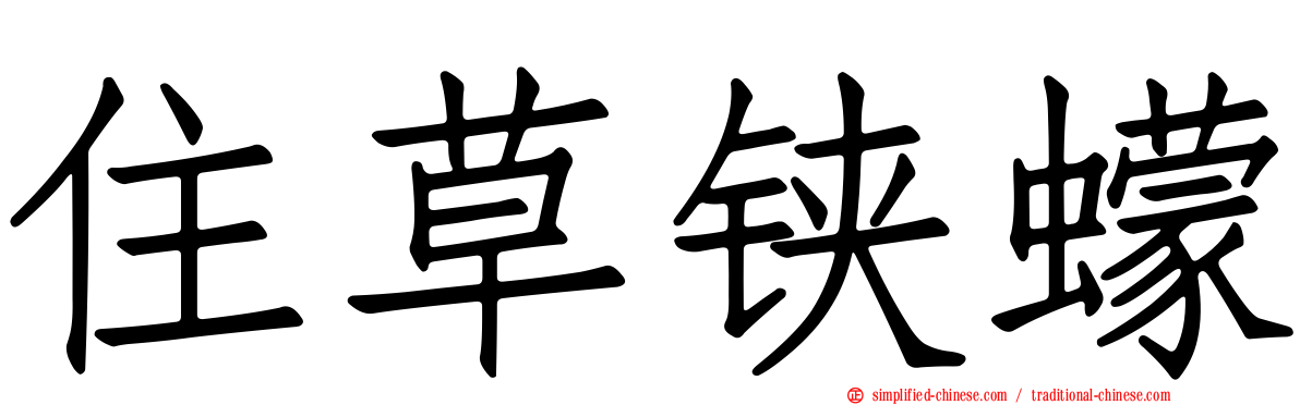 住草铗蠓