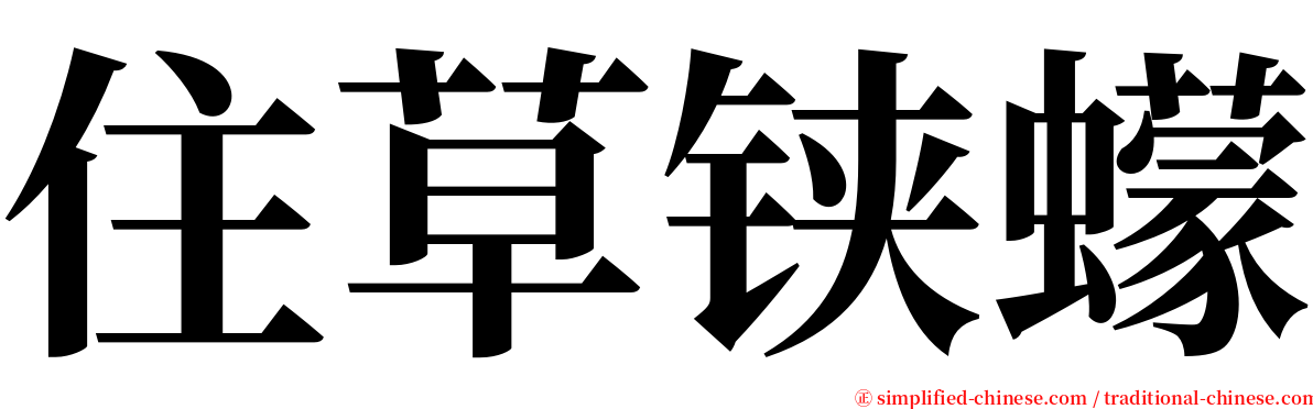 住草铗蠓 serif font