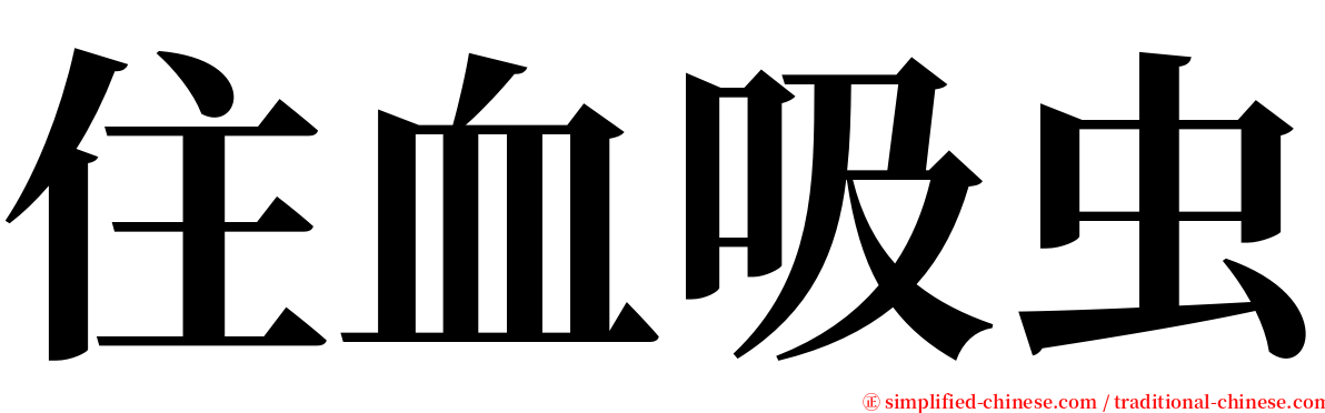 住血吸虫 serif font