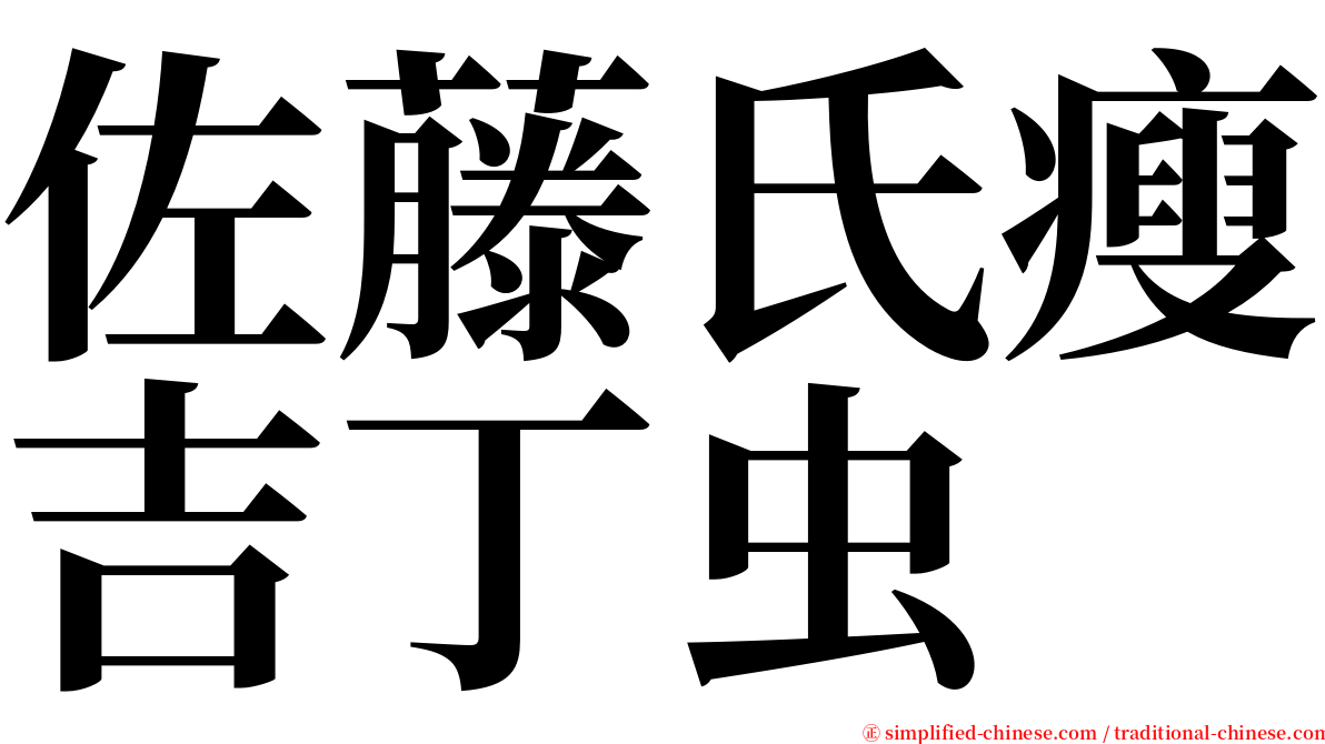 佐藤氏瘦吉丁虫 serif font