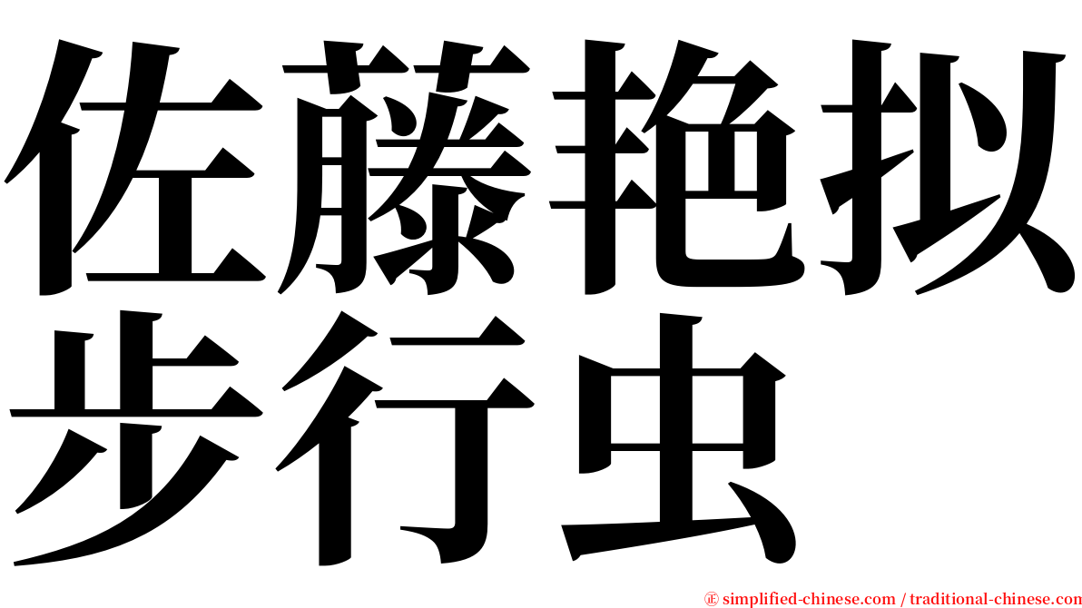 佐藤艳拟步行虫 serif font